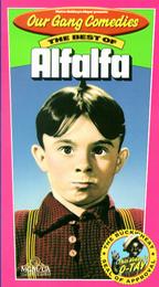 The Best of Alfalfa - Four shorts featuring Alfalfa!