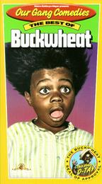 The Best of Buckwheat - Four shorts featuring Buckwheat!